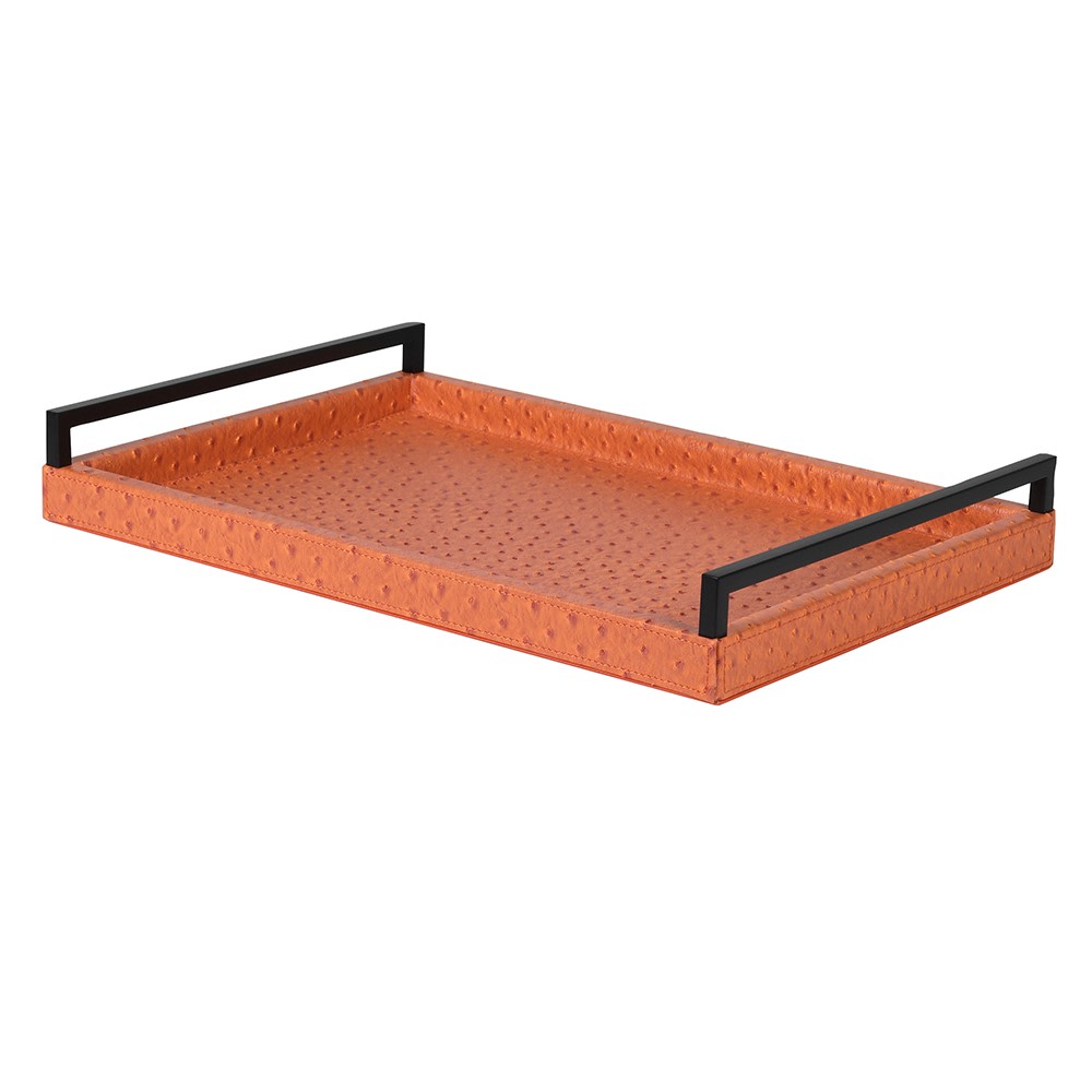 Burnt Orange Tray