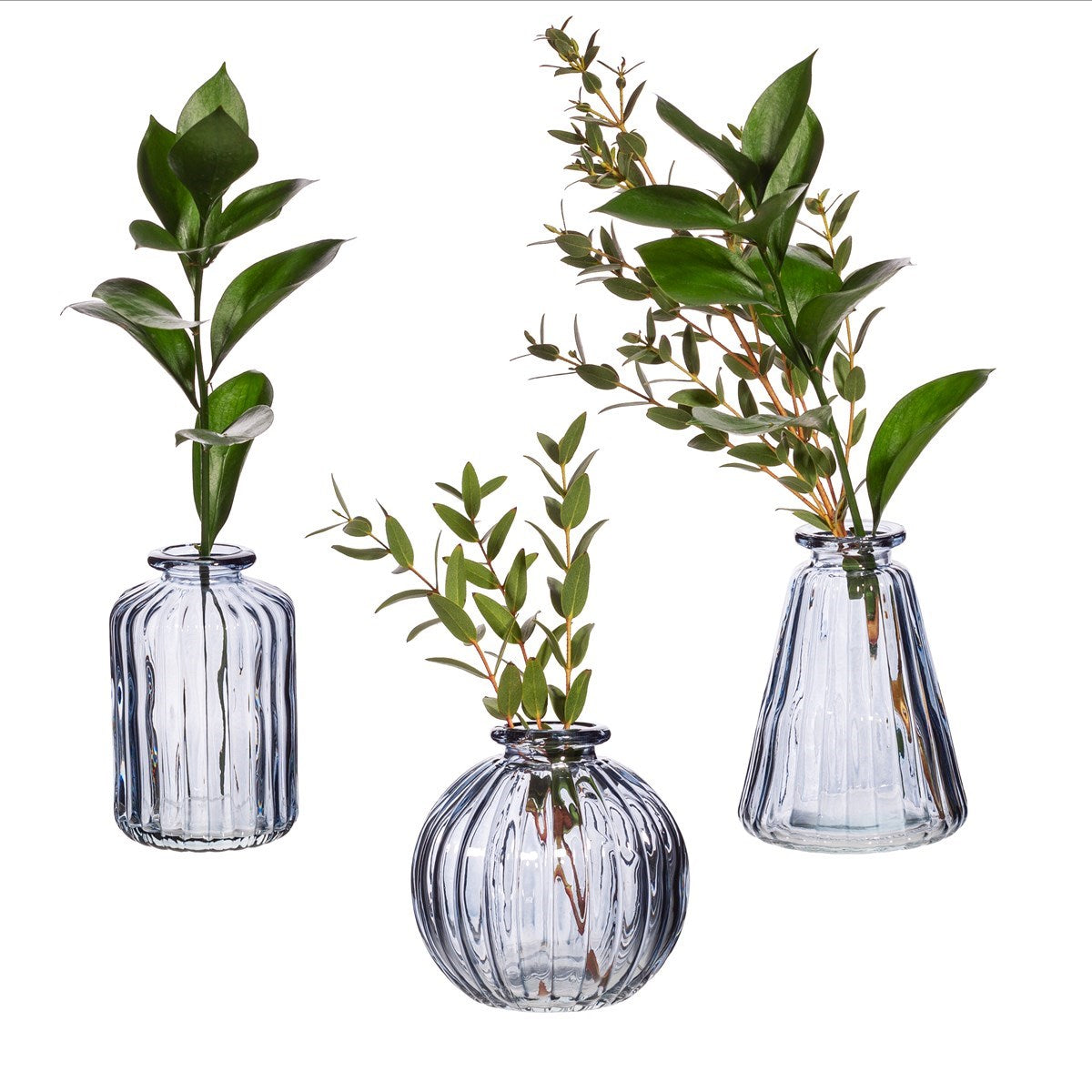 Glass Bud Vases, Set of 3