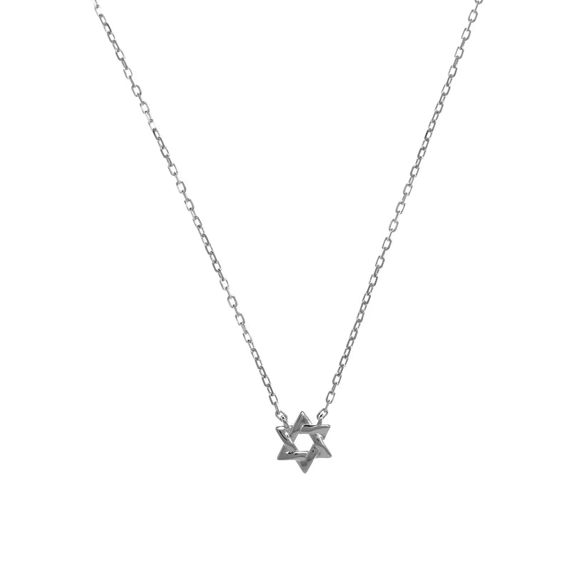 Penny Levi Star of David Necklace (plain)